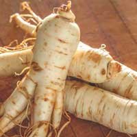 i-ginseng-root.jpg